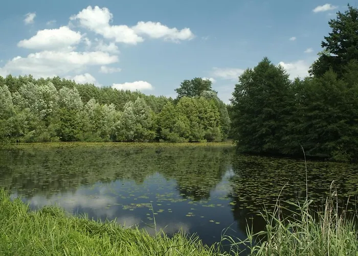 Pałacyk łąkomin * Lubiszyn